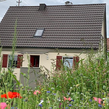 Ferienhaus Bei Lauingen, Mit Sauna Und Gartenlounge Veitriedhausen Ngoại thất bức ảnh